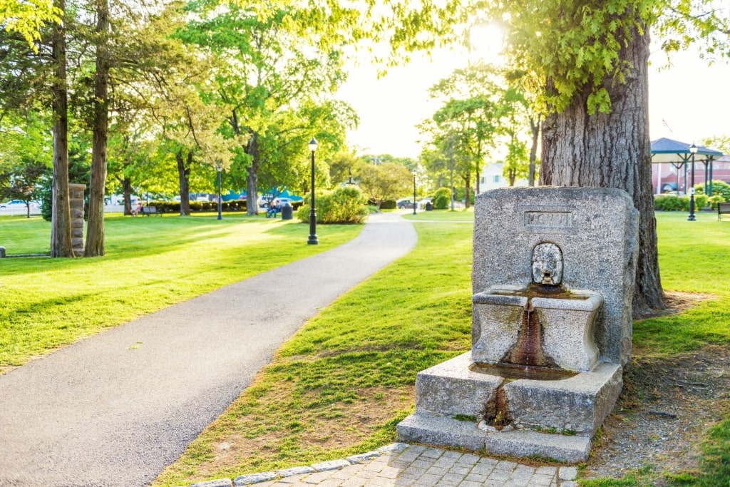 Trail in Village Green