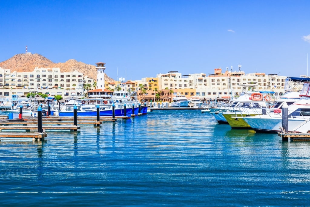 View of Cabo San Lucas Marina