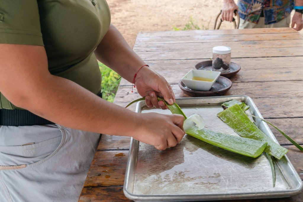 Woman demonstrating at the Aruba Aloe