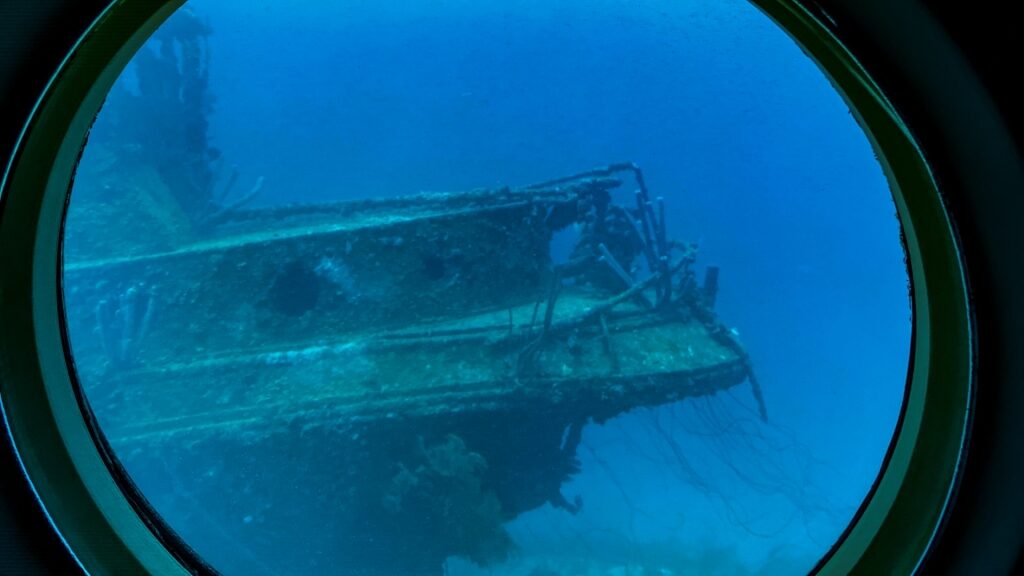 View from Atlantis Submarine
