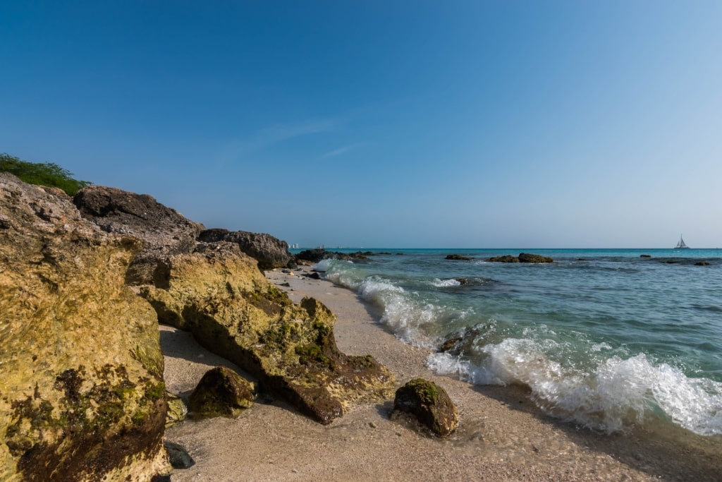 Shoreline of Boca Catalina