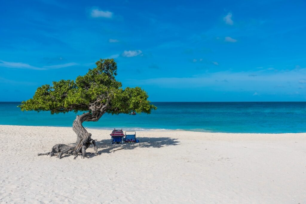 Visit Eagle Beach, one of the best things to do in Aruba with kids