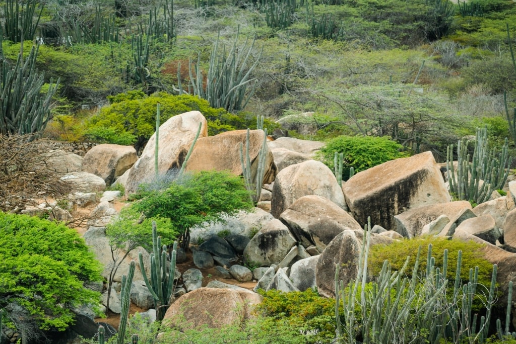 Visit the Ayo Rock formations, one of the best things to do in Aruba with kids