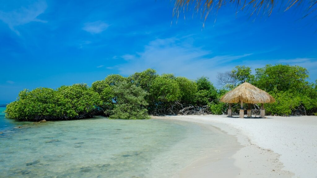 White sand beach of Mangel Halto with mangroves