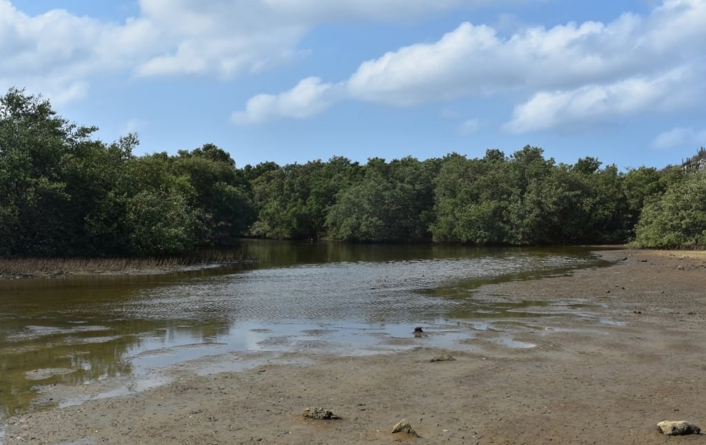 Landscape of Spanish Lagoon