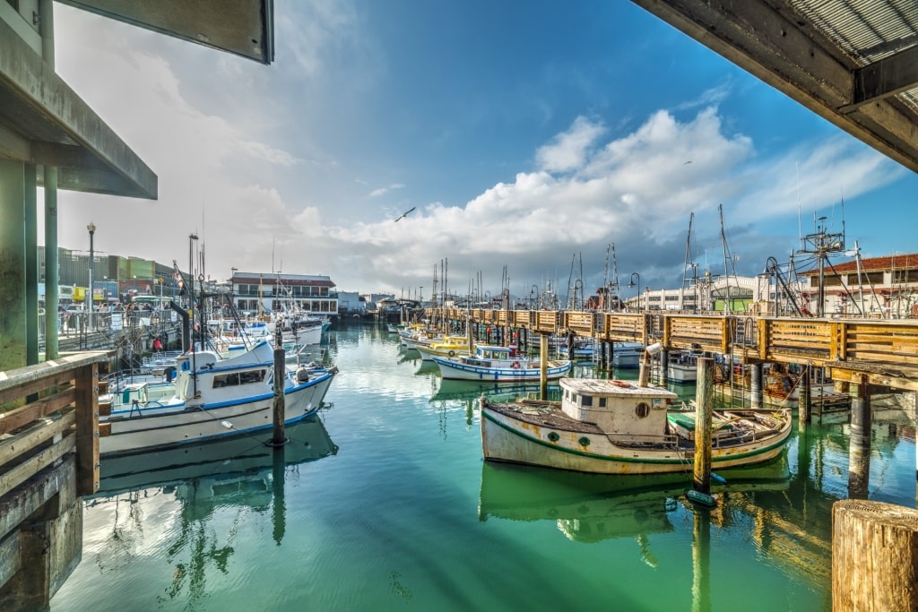 Visit Fisherman’s Wharf, one of the best things to do in Downtown San Francisco