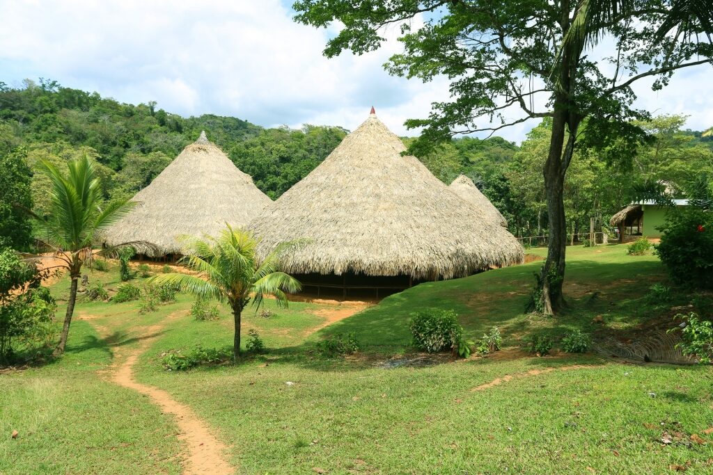 Beautiful community of the Embera Village