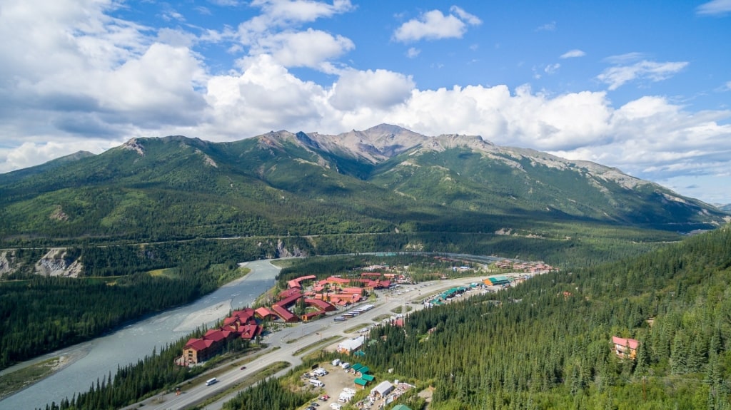 Denali National Park, one of the best places to see bald eagles in Alaska