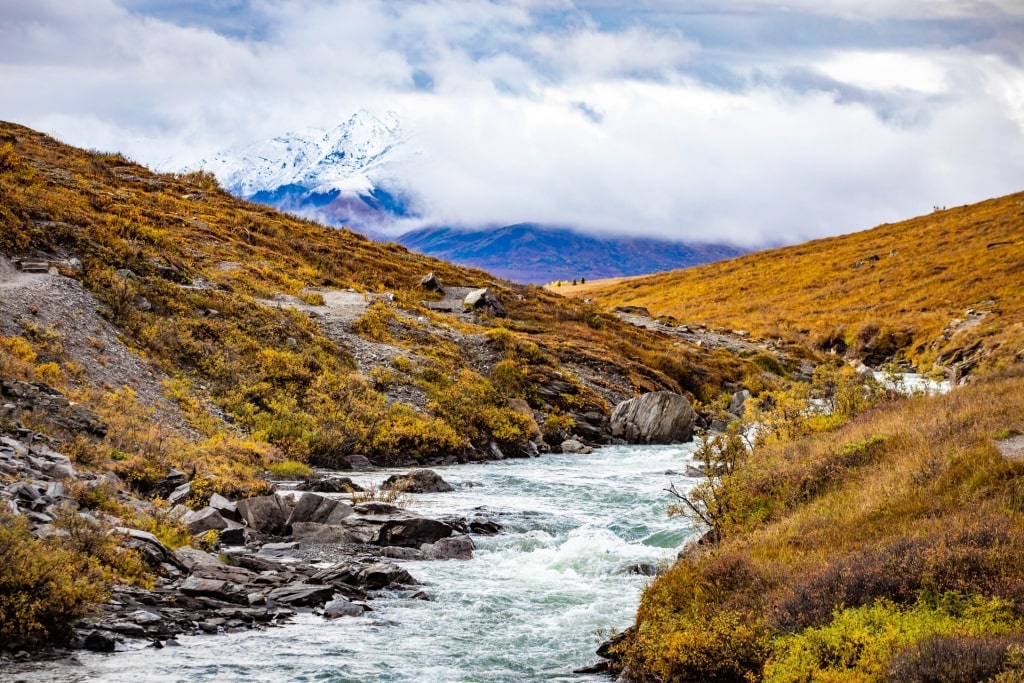 View of Savage River