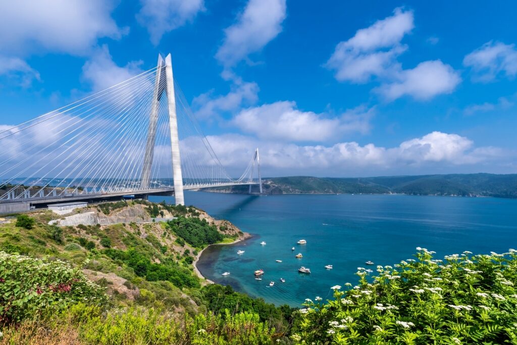 Unique Yavuz Sultan Selim Bridge