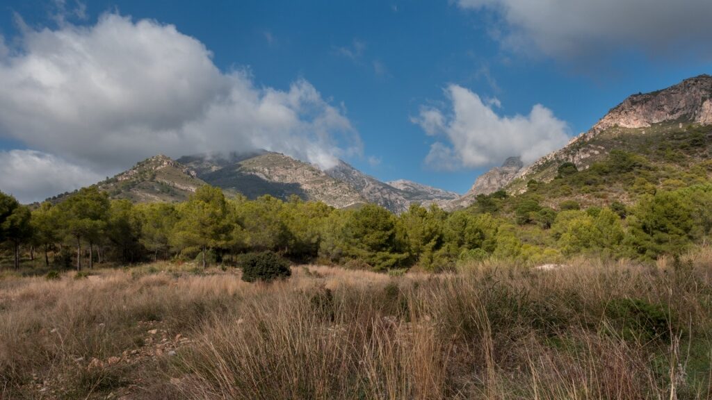 Lush landscape of Gran Senda de Málaga