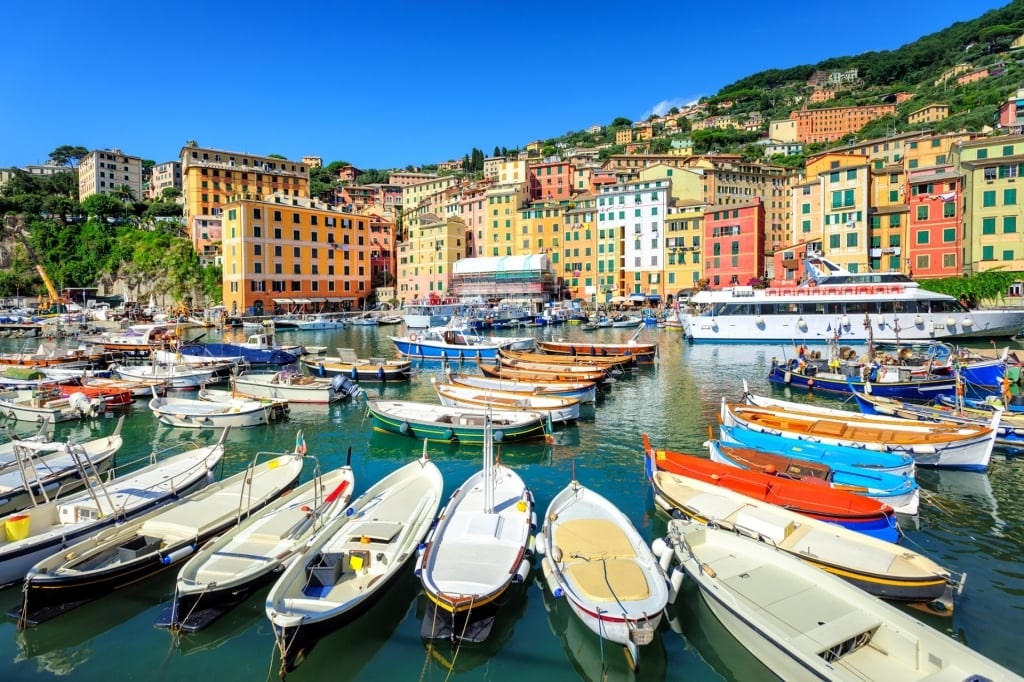 Colorful houses in Genoa