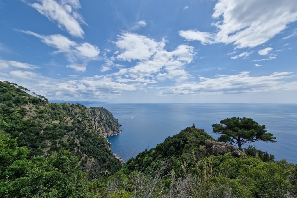 View from Monte di Portofino, Portofino