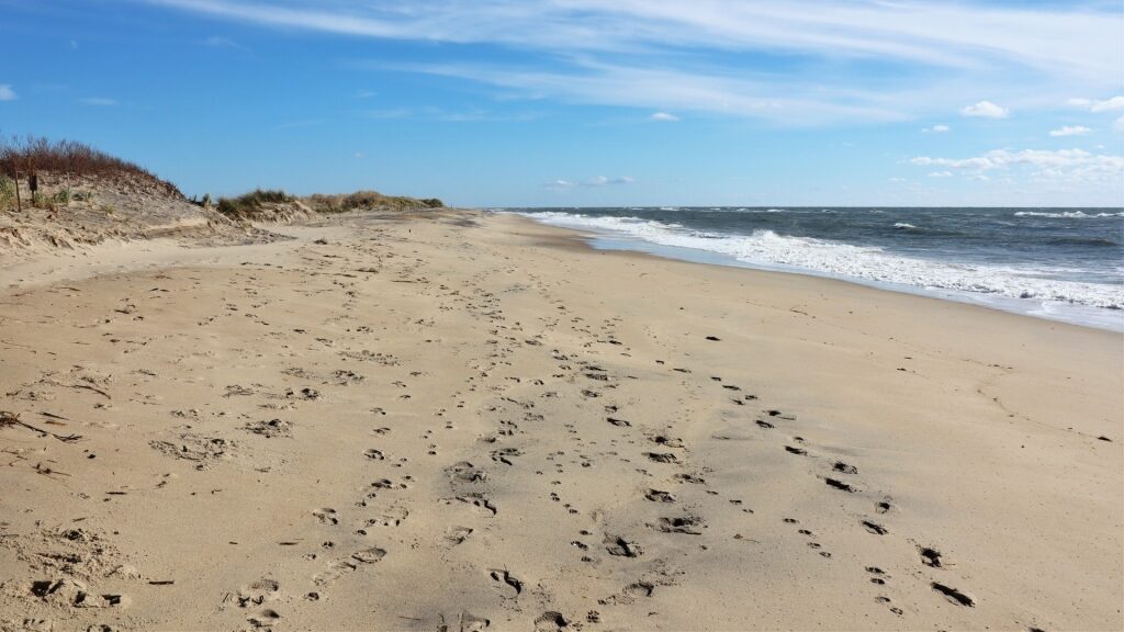 Sandy beach of Katama Beach in Martha's Vineyard, Massachusetts