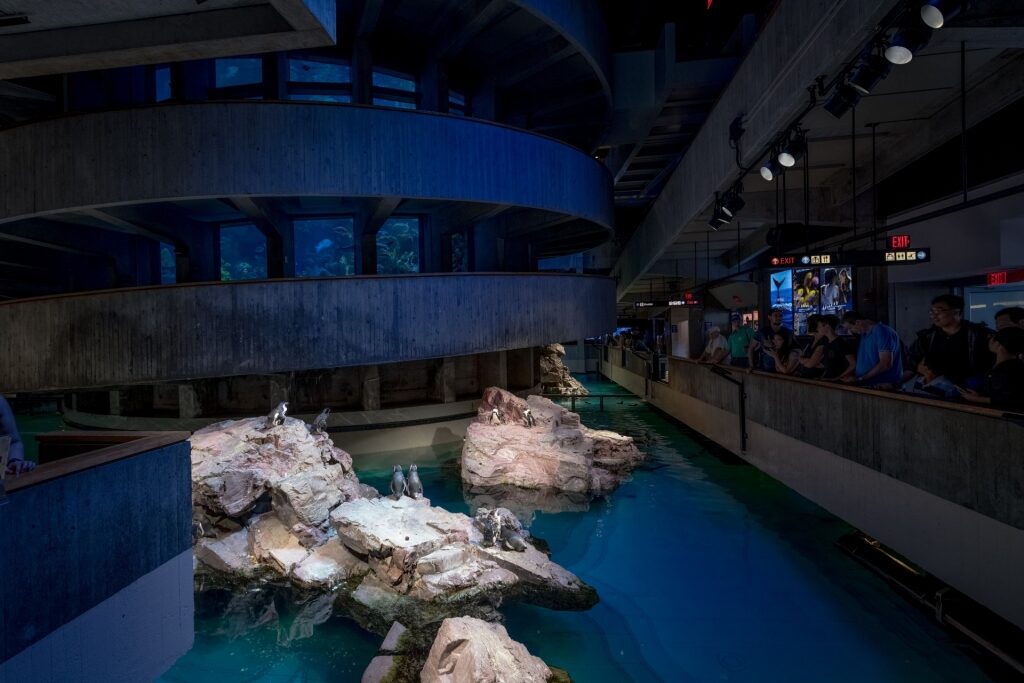 View inside New England Aquarium in Boston, Massachusetts