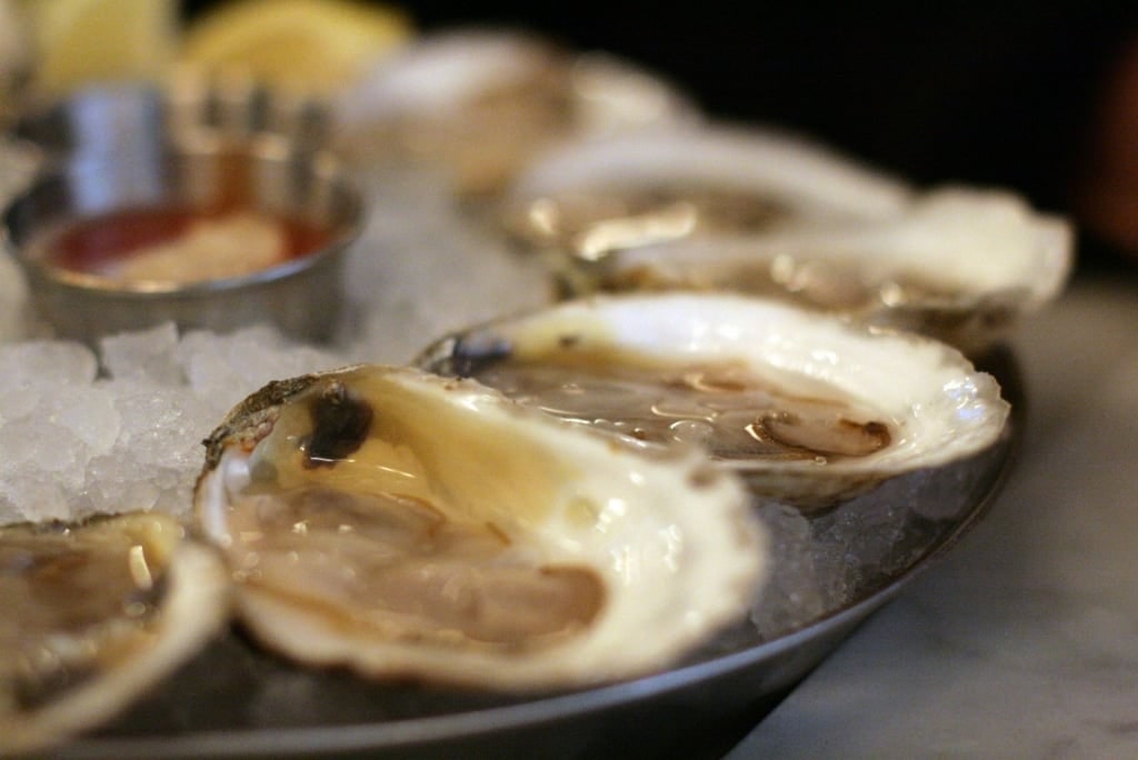 Platter of oysters from Neptune Oyster 