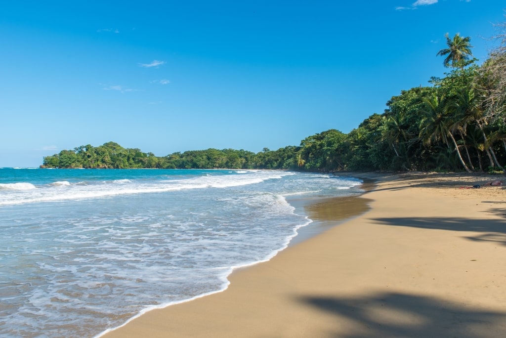 Sandy beach of Punta Uva Beach