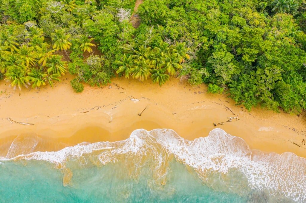 Aerial view of beach in the Dominican Republic