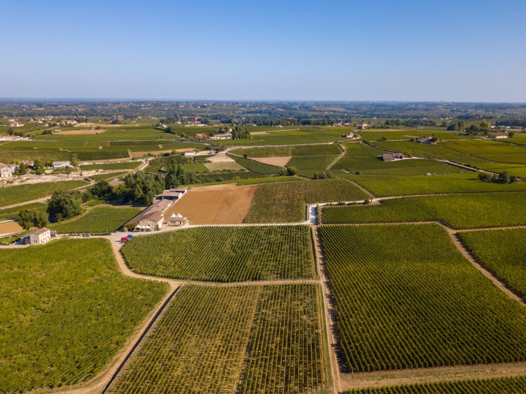 Bordeaux wine region