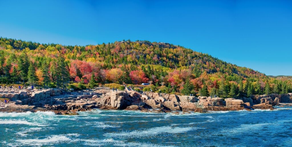 Acadia National Park in the fall