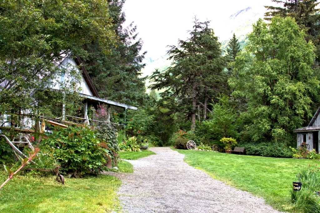 Trail in Crow Creek Mine, Girdwood