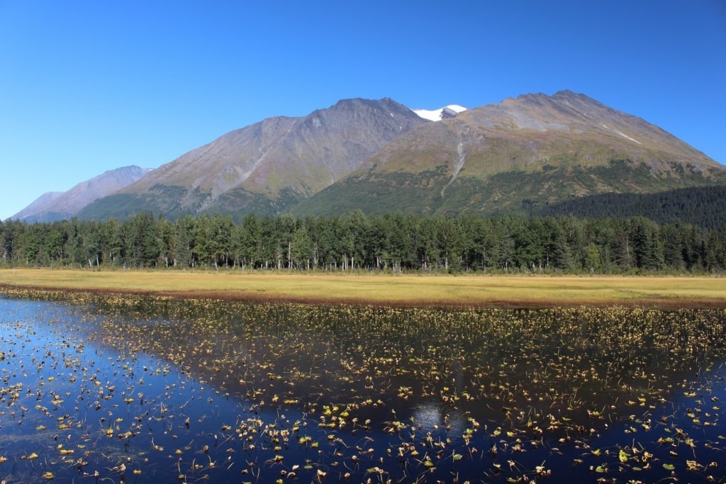 View of Kenai Lake