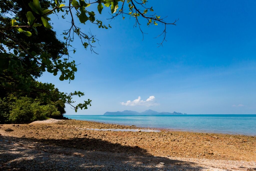 Beach in Pasir Tengkorak Recreational Forest