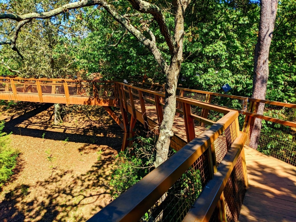 Boardwalk within Parque de Serralves