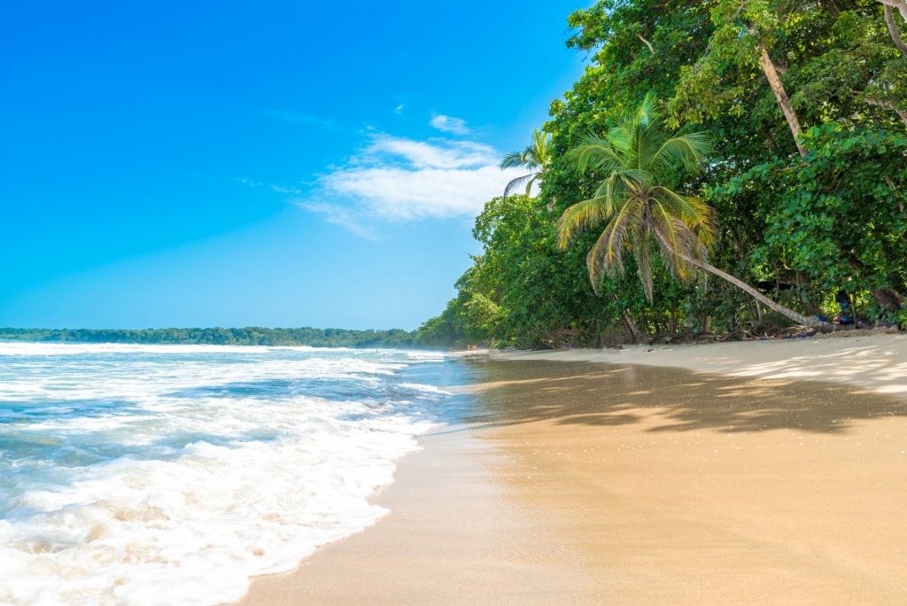 Beach in Cahuita National Park