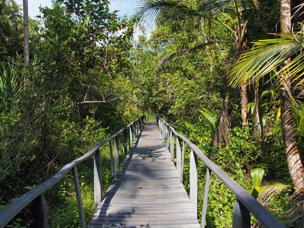 Trail in Cahuita National Park