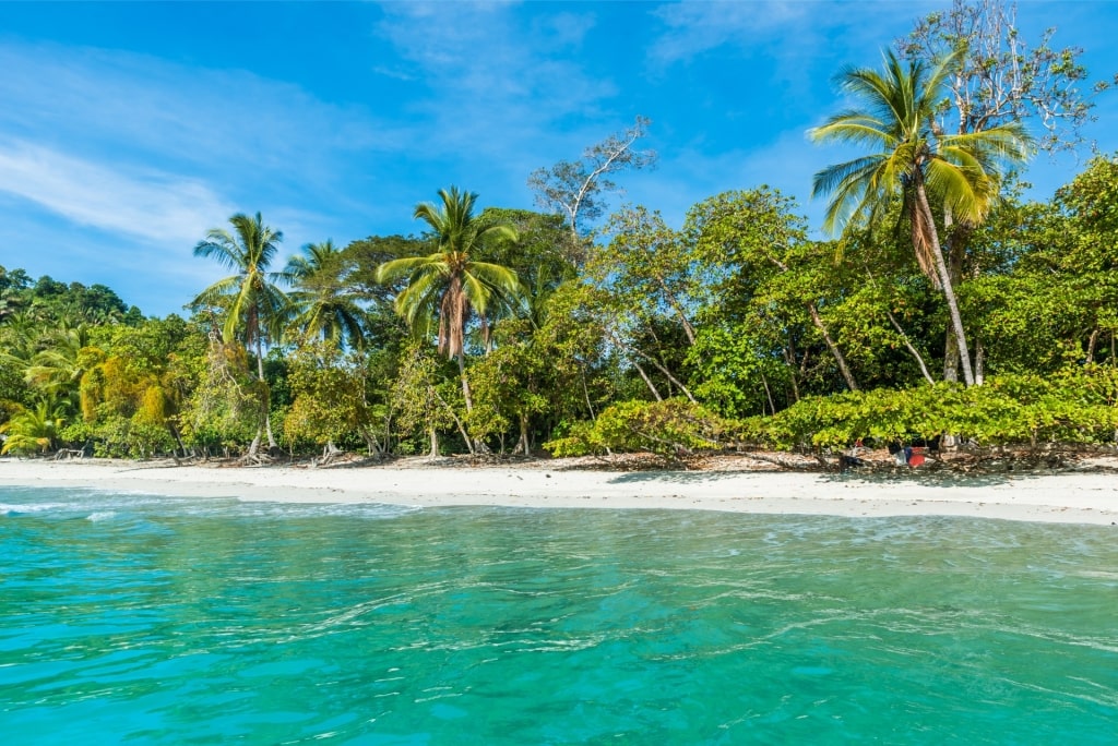 Beautiful white sand beach in Manuel Antonio National Park