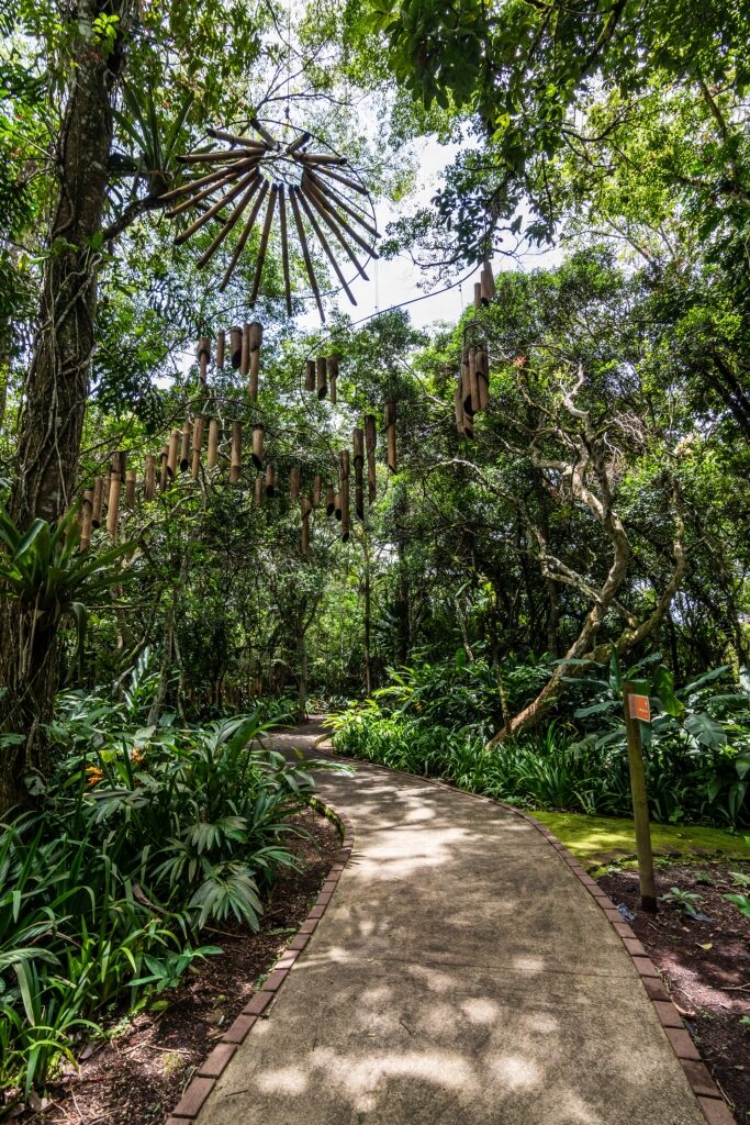Pathway in Lankester Botanical Gardens