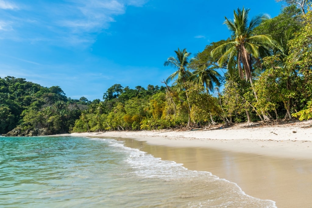 Beach in Manuel Antonio National Park