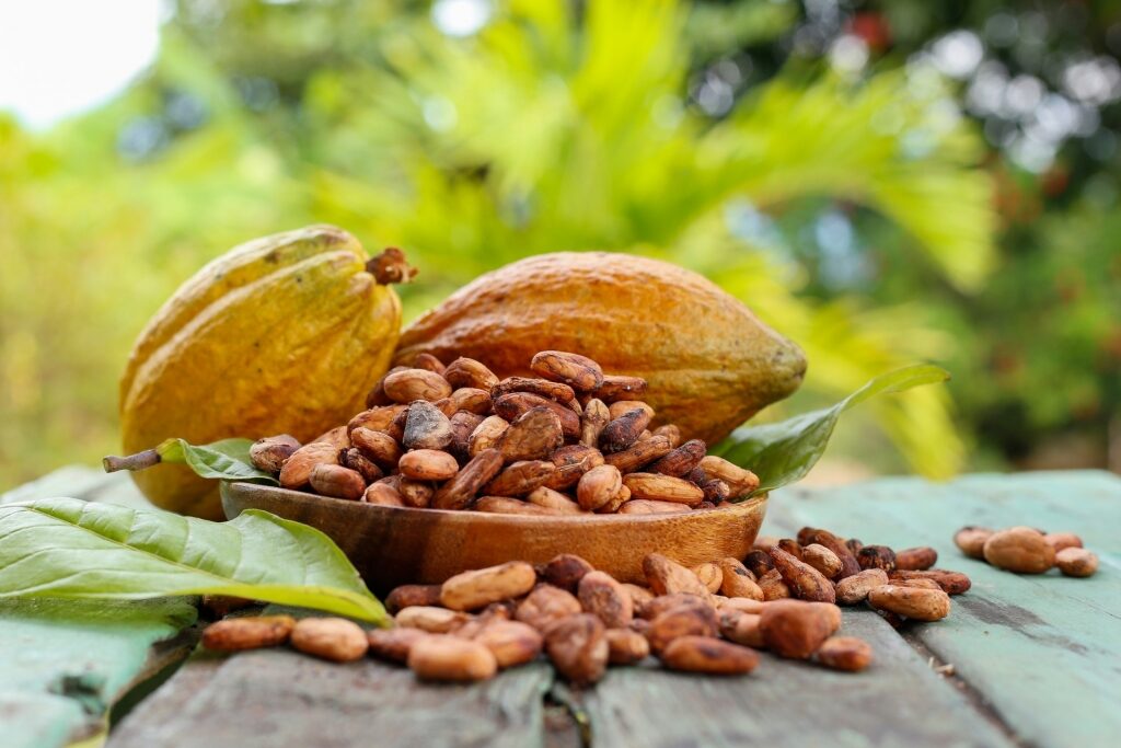 Cocoa beans on a table
