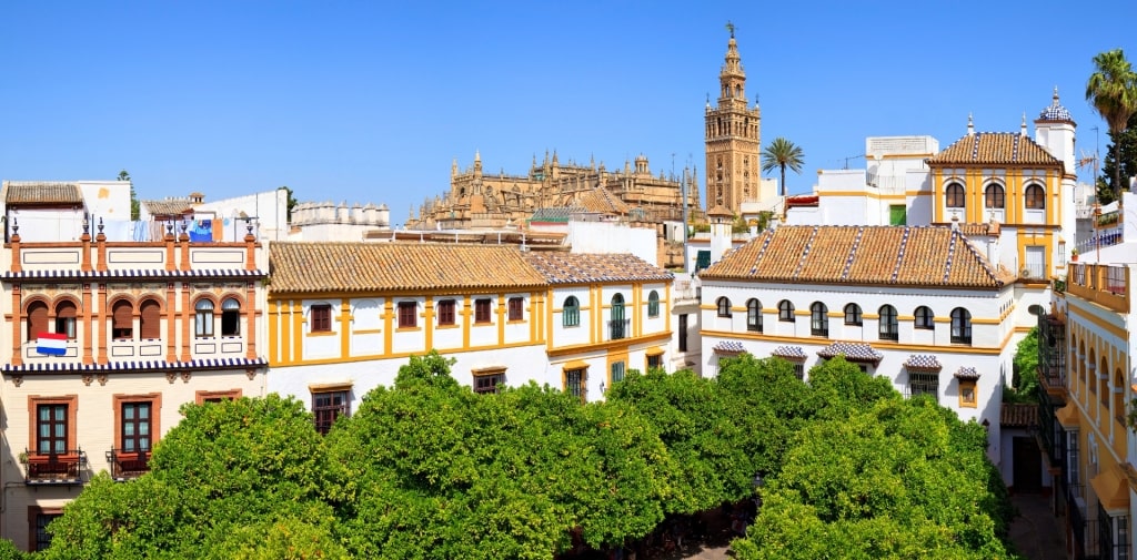 Aerial view of Barrio de la Cruz, Seville