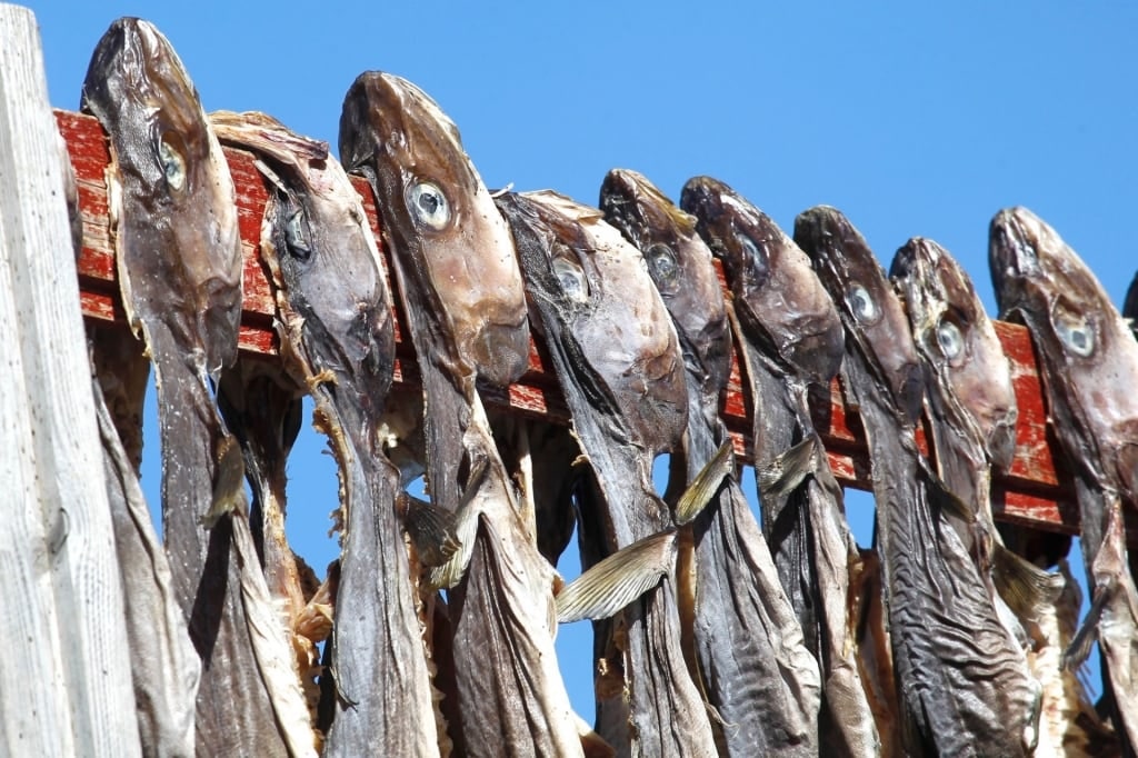 Dried cod on display