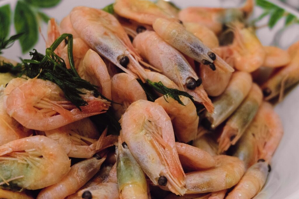 Plate of Greenlandic shrimp