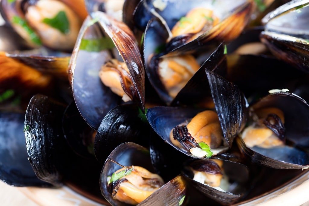 Plate of mussels