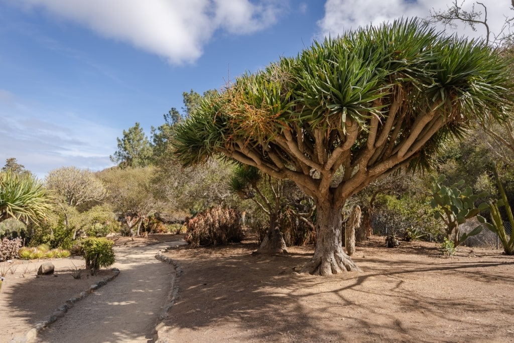 Lush landscape of Wrigley Memorial & Botanical Gardens