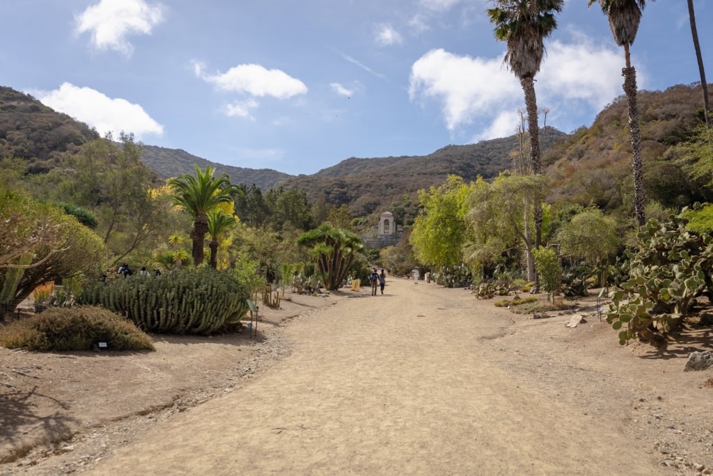 Lush landscape of Wrigley Memorial & Botanical Gardens