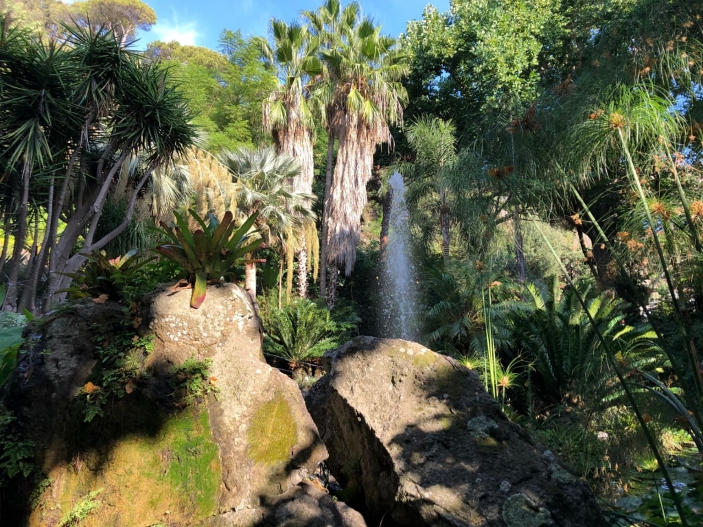 Lush landscape of La Mortella, Ischia Island