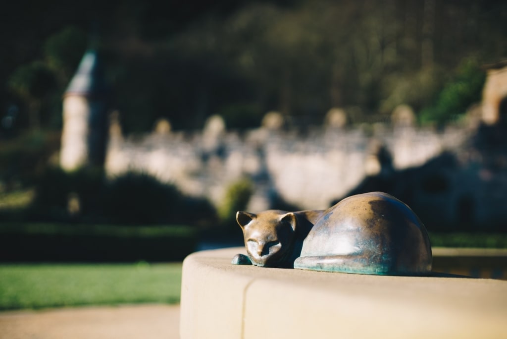 Cat statue in Belfast Castle