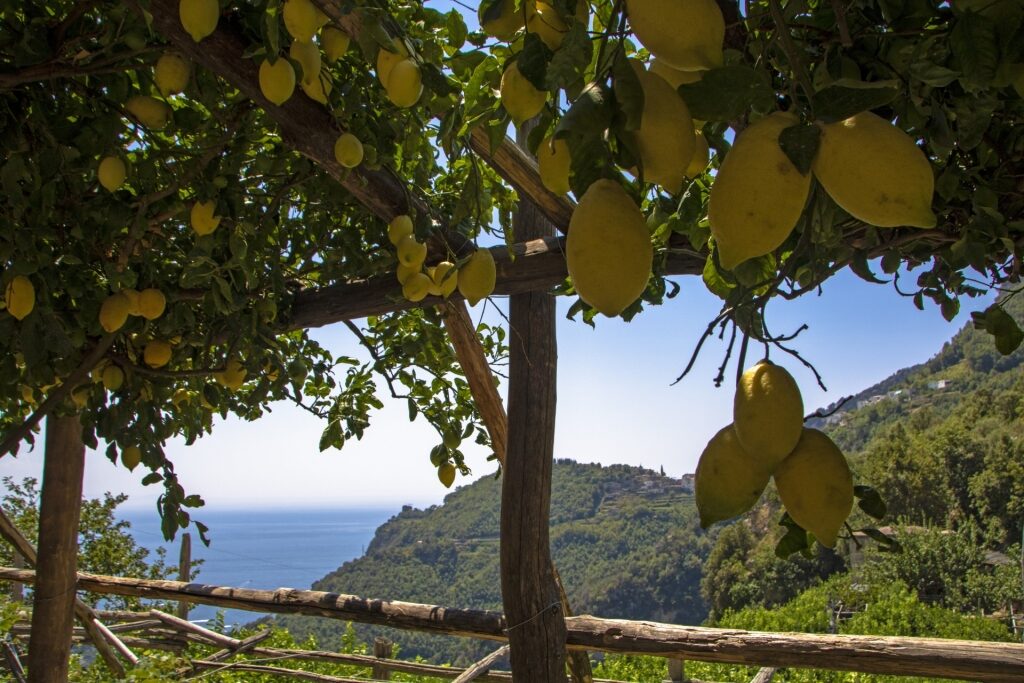 Path of Il Sentiero dei Limoni