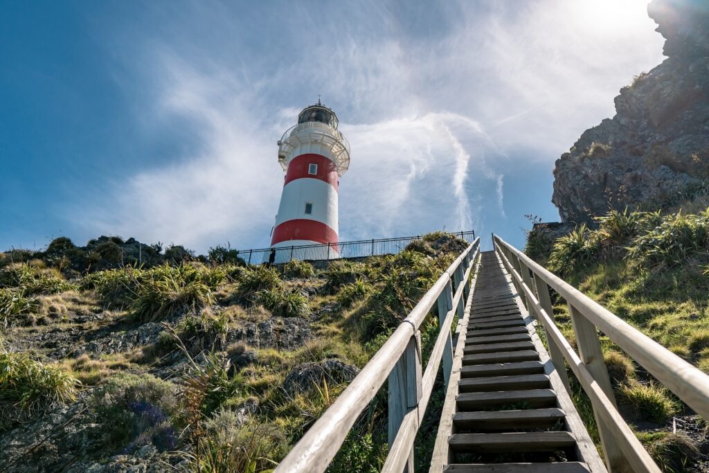 View of the trail to Cape Palliser Lighthouse, near Wellington, New Zealand