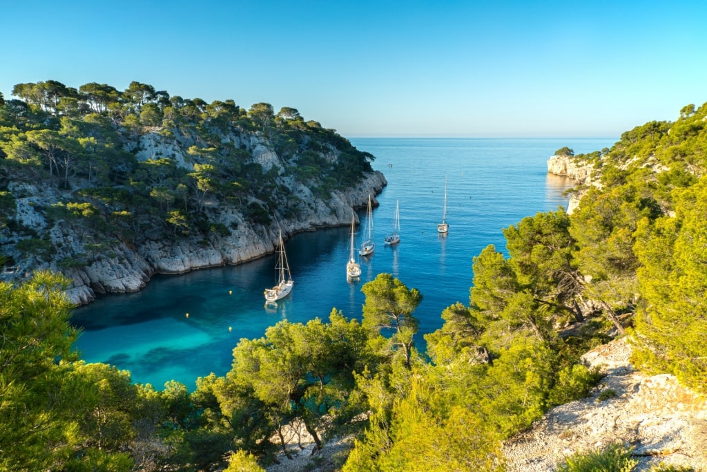 View from Calanque Port Pin, Calanques National Park