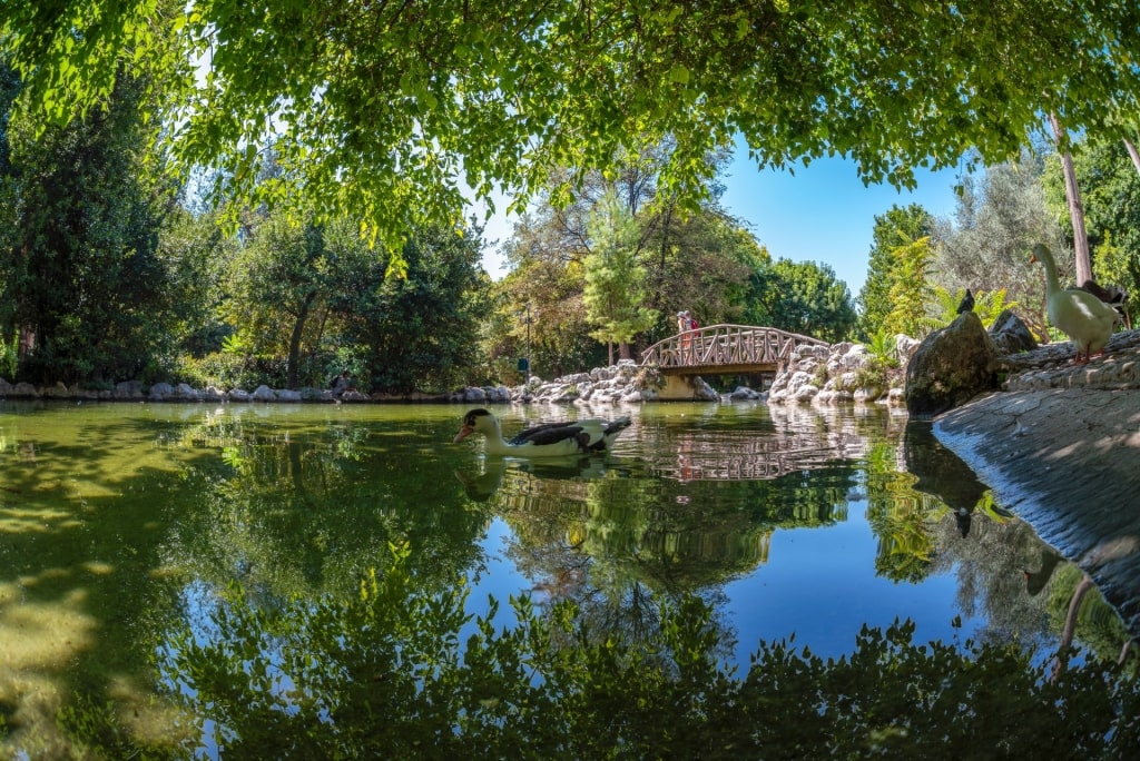 Beautiful landscape of the National Garden, Athens