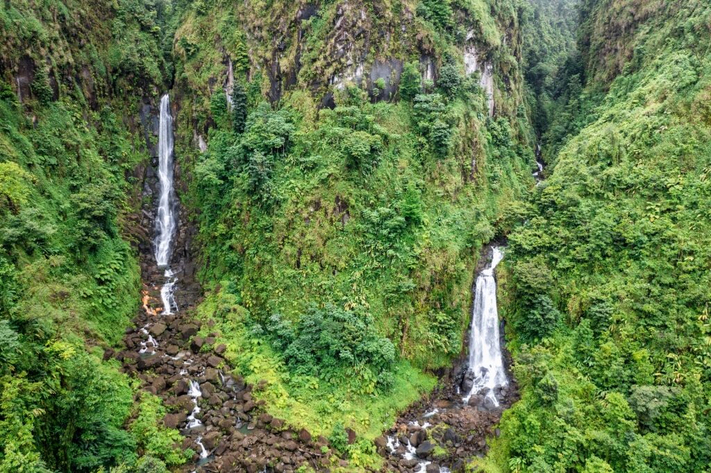 Lush landscape of Trafalgar Falls in Roseau, Dominica