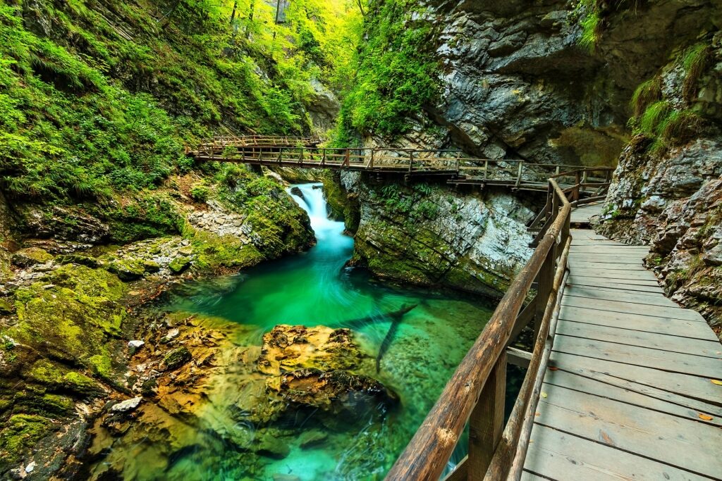 Trail in Vintgar Gorge, Slovenia