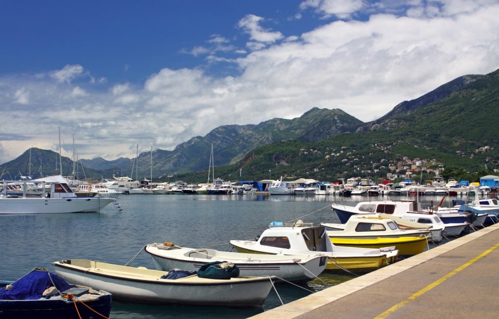 Boats lined up on Bar Marina