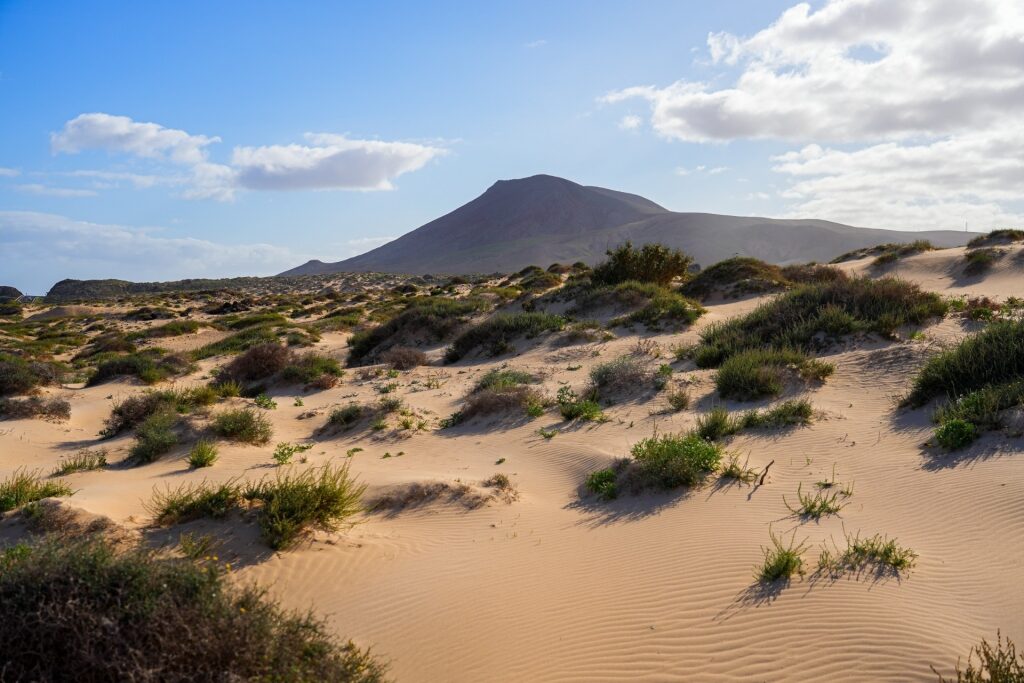 Fine dunes in Corralejo Natural Park